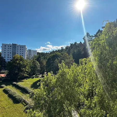 Array - 5 Minutes To Molo & Seaside Sopot